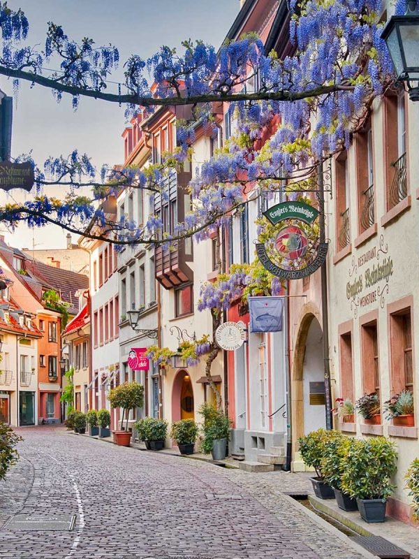 City Tour of Freiburg