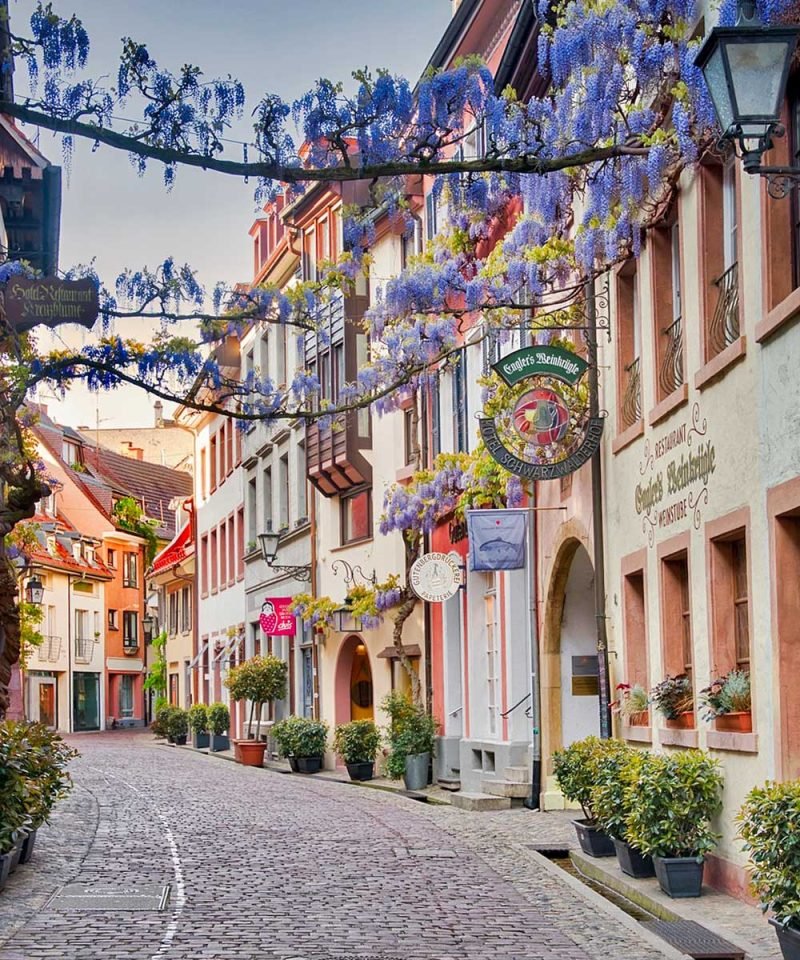 City Tour of Freiburg