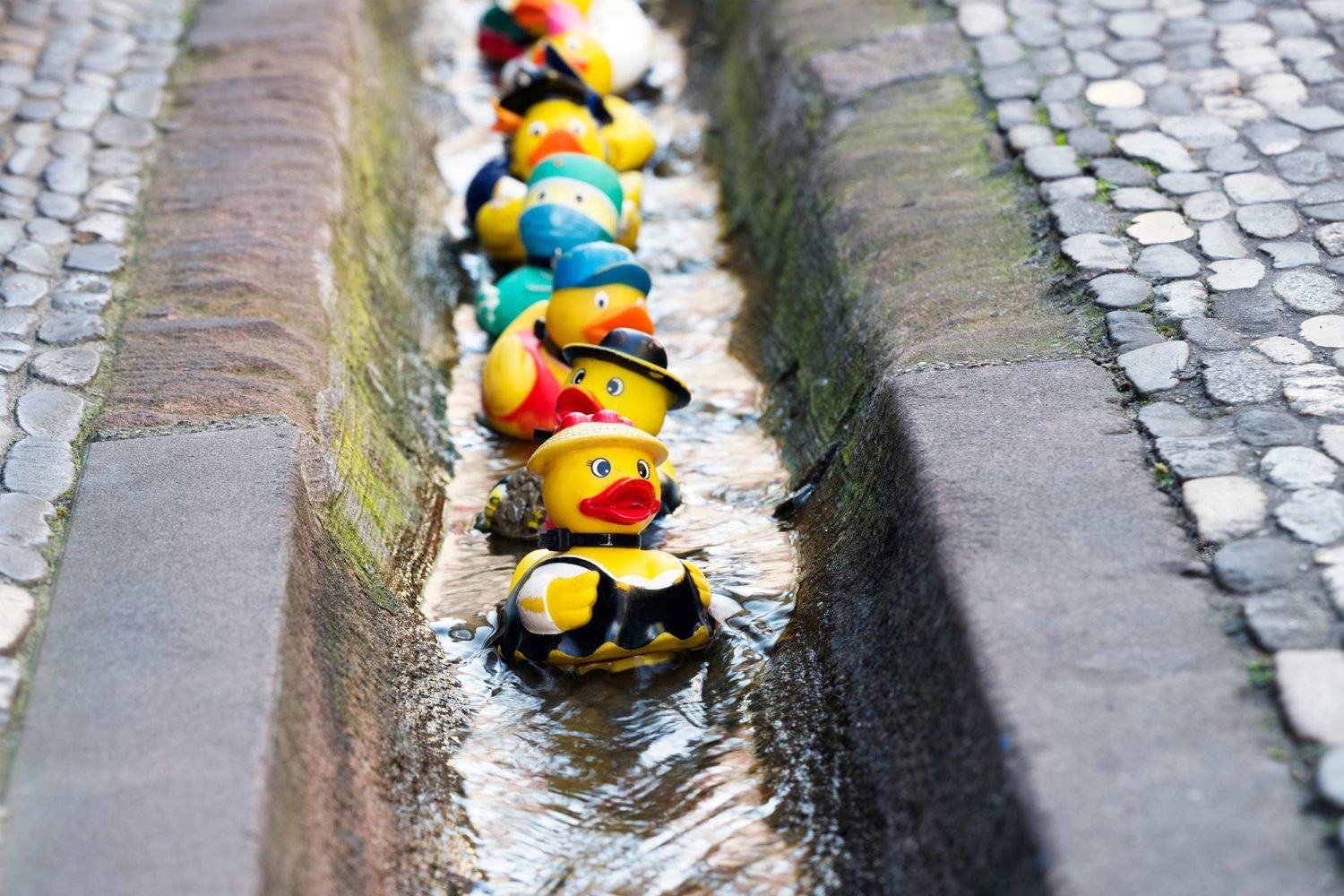 Stadtführung Freiburg für Kinder