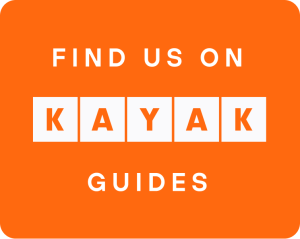 Kayak KAYAK, Marktführer in der Reisebranche