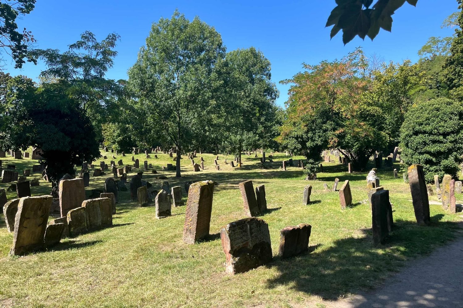 Stadtführung Worms Deutschland - Jüdischer Friedhof
