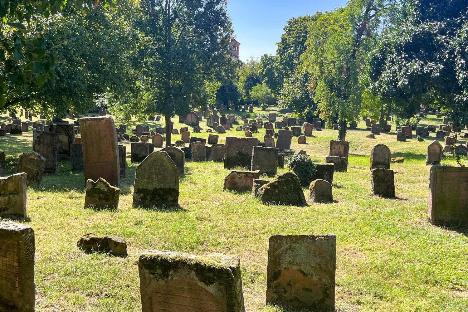 Stadtführung Worms - Jüdischer Friedhof