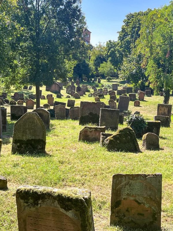 Stadtführung Worms - Jüdischer Friedhof