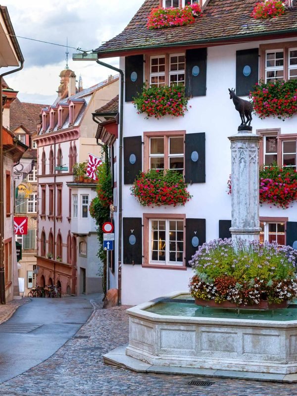 Historische Führung Basel Brunnen