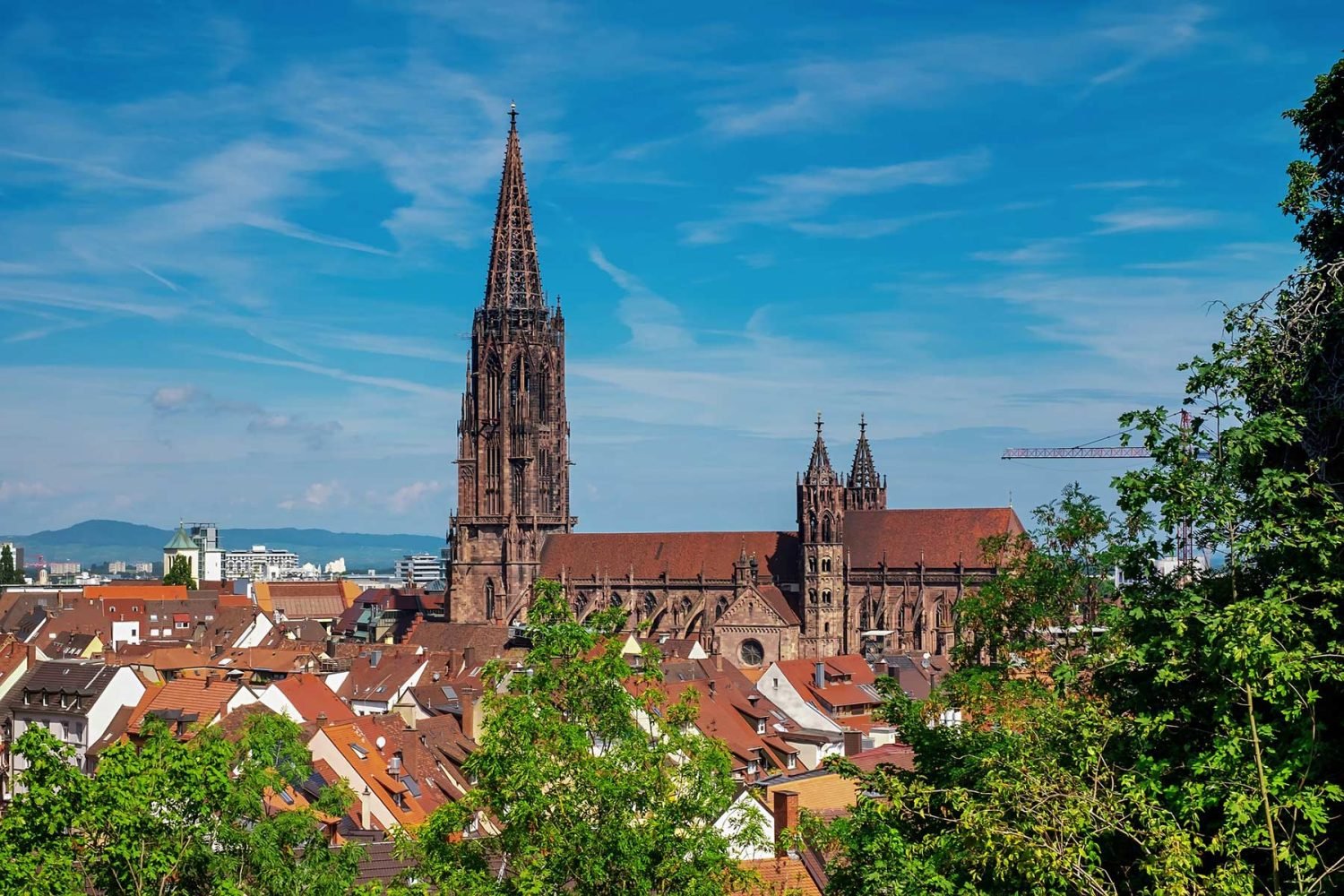 Freiburger Stadtrundgang - Führung im Münster