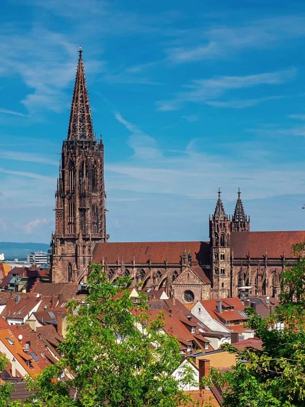 Freiburger Stadtrundgang - Führung im Münster