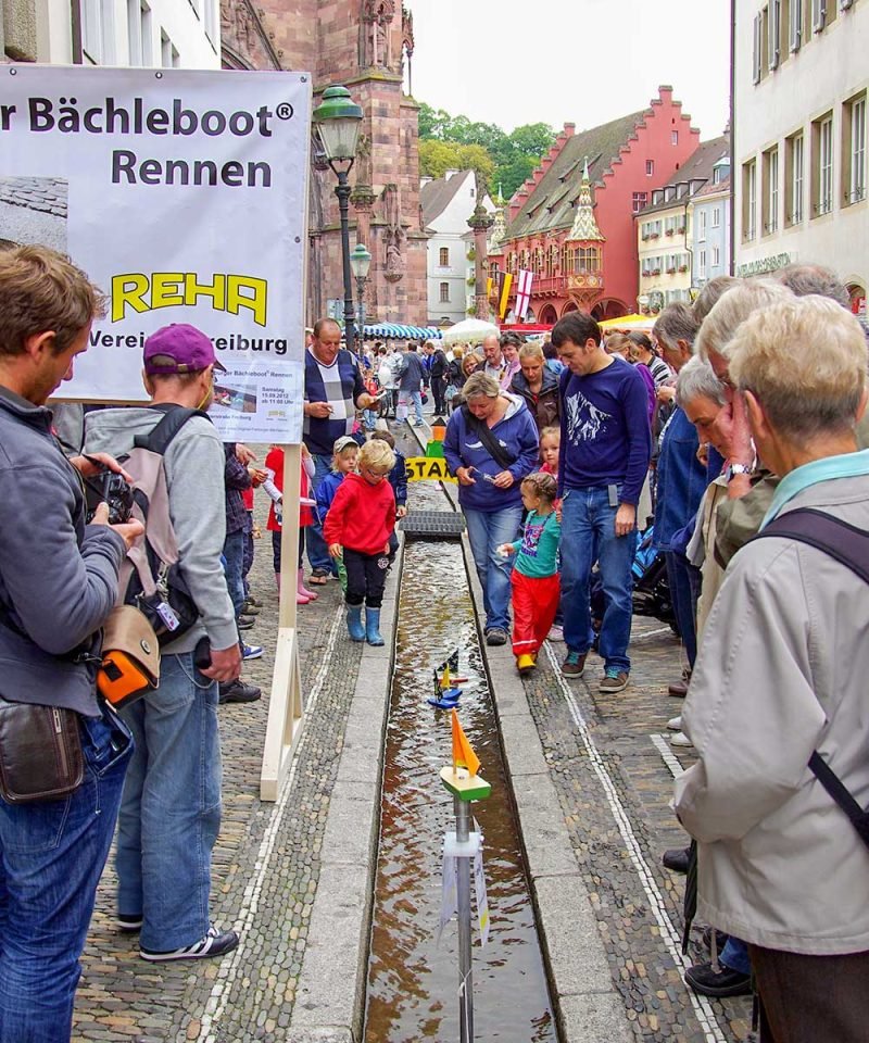 Freiburger Bächle Führung