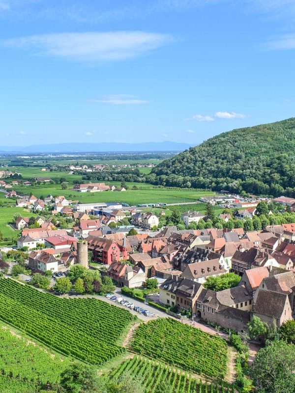Reiseleitung Elsass