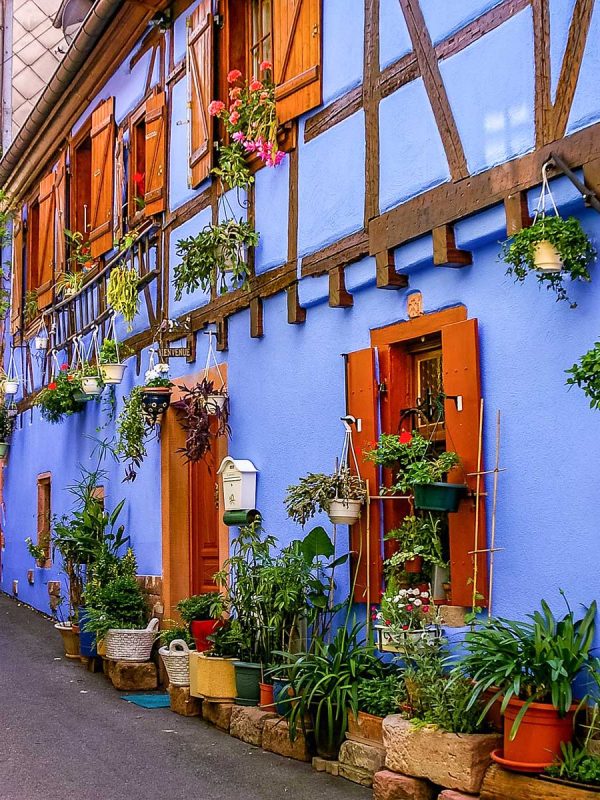 Reiseleitung Elsass