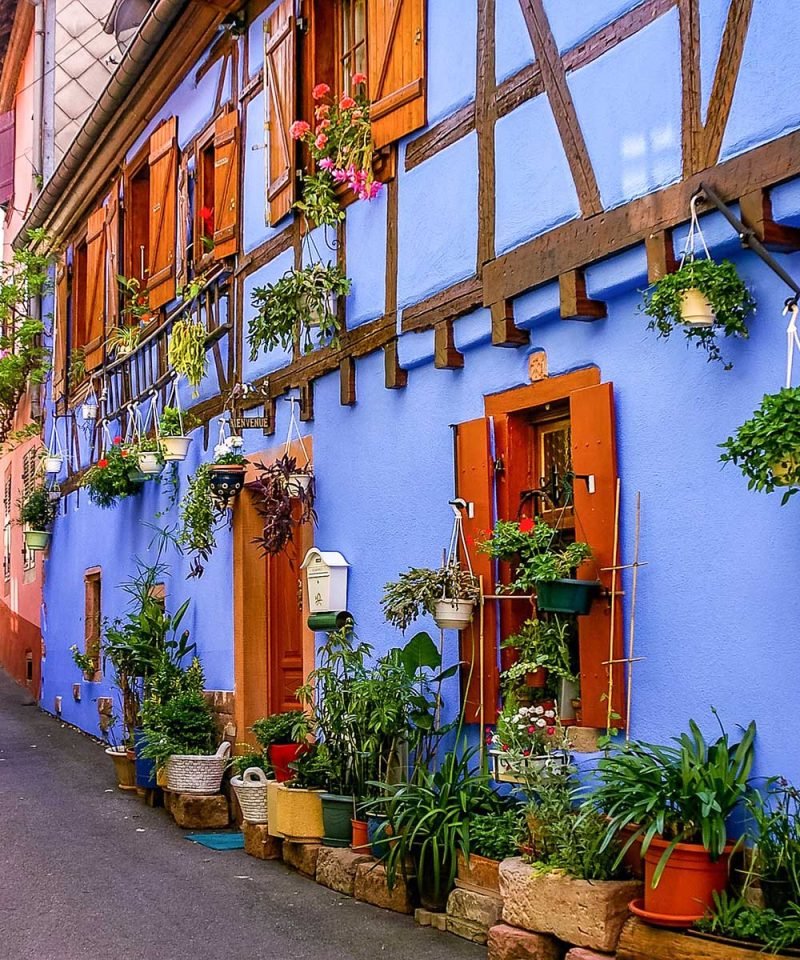 Reiseleitung Elsass