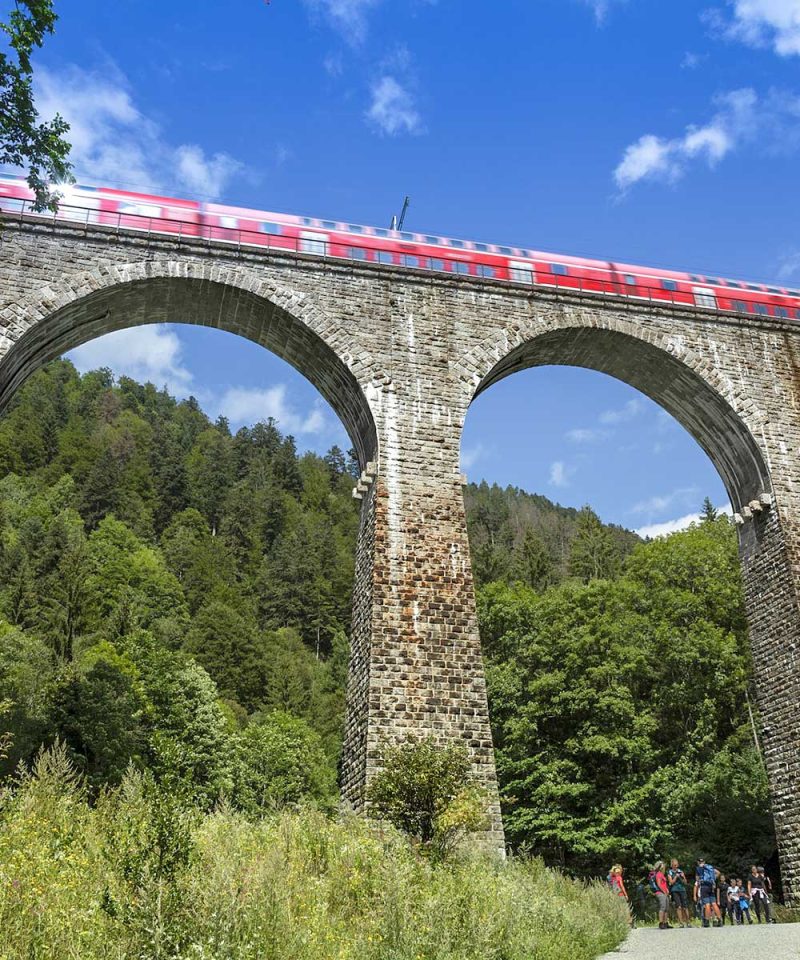 Reiseleitung Schwarzwald | Black Forest tours