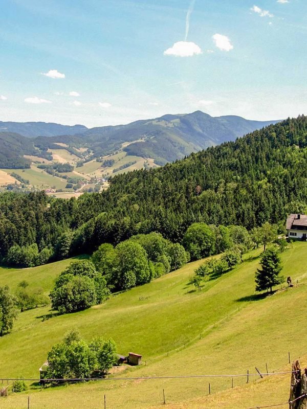 Reiseleitung Schwarzwald | Black Forest and Beyond Day Trips