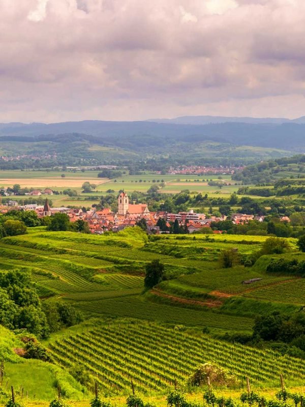 Reiseleitung Kaiserstuhl | Wine regions of Germany