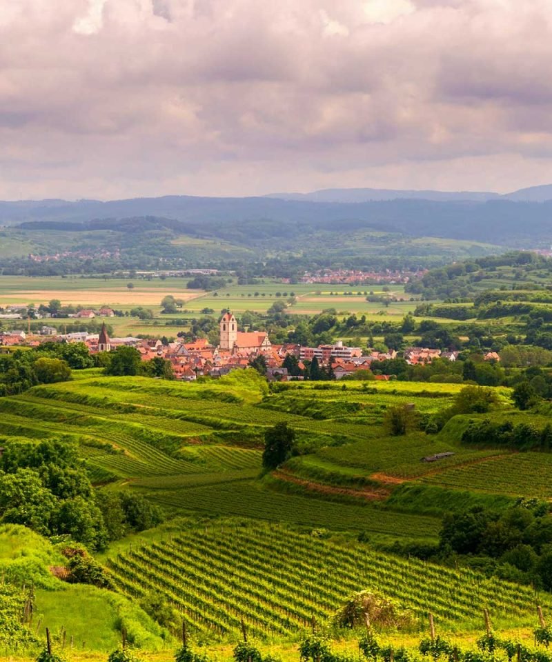 Reiseleitung Kaiserstuhl | Wine regions of Germany