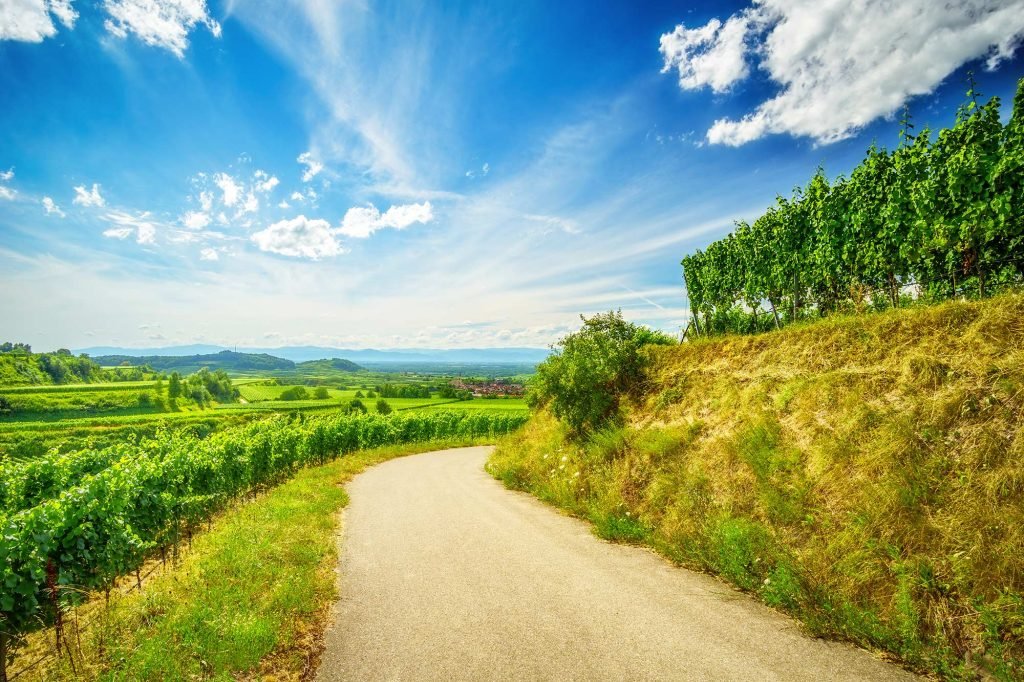Kaiserstuhl-Radweg
