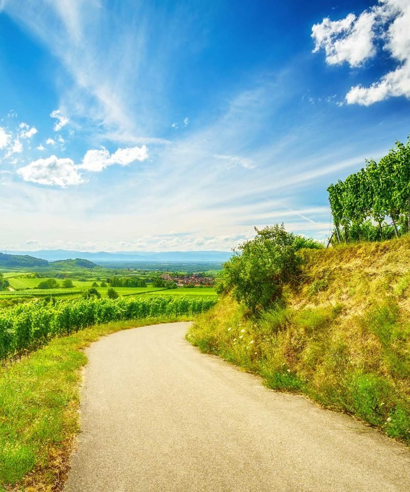 Kaiserstuhl-Radweg
