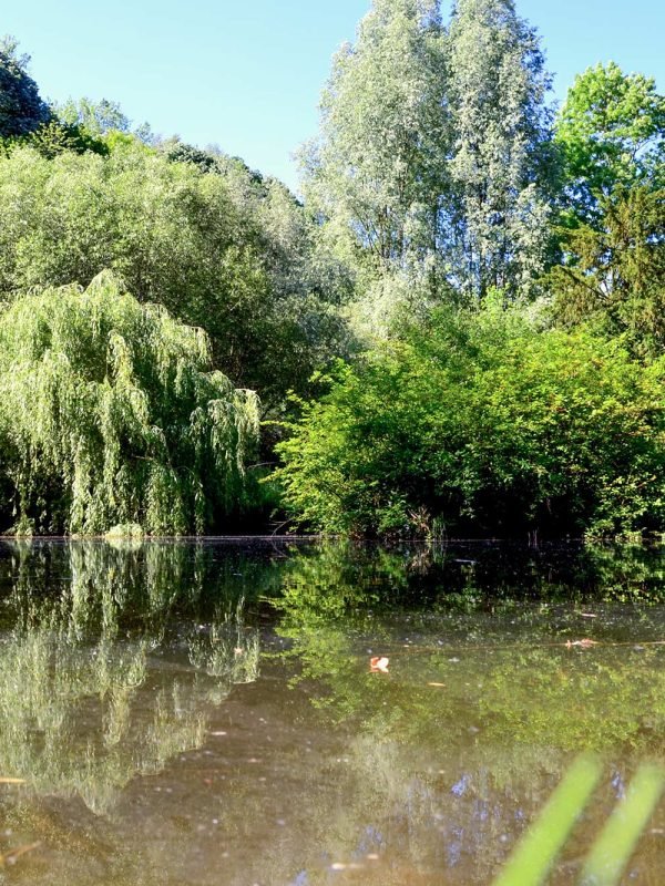 Wanderung im Kaisertuhl