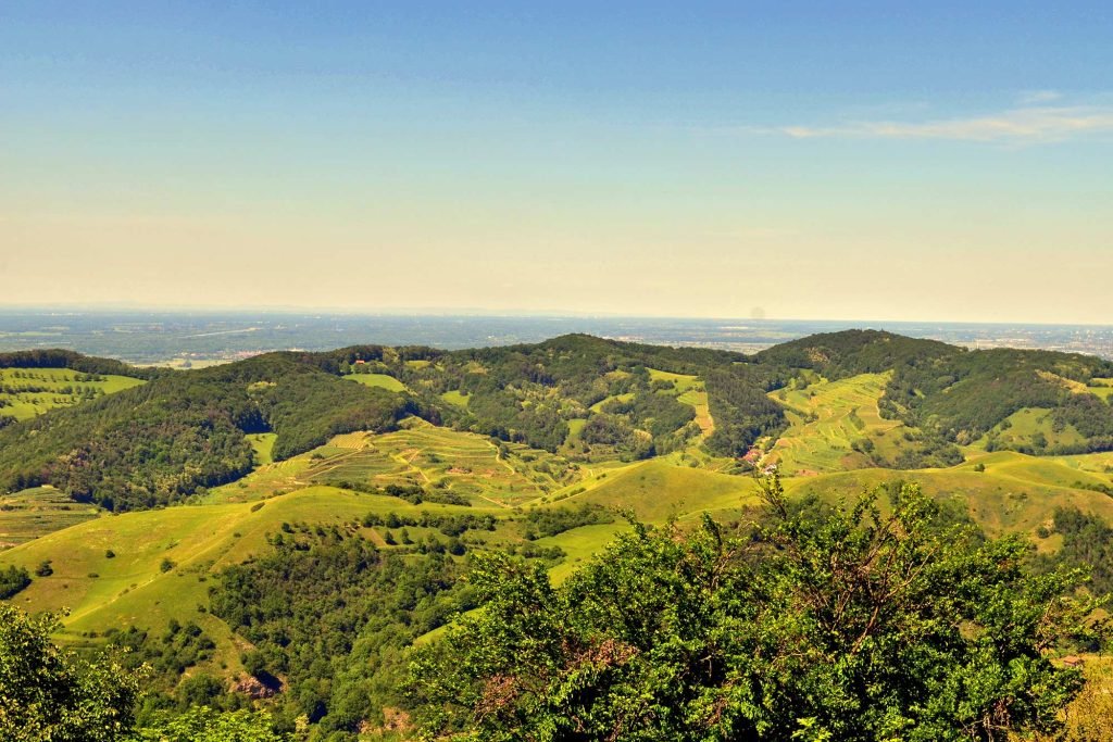 Wanderung im Kaisertuhl