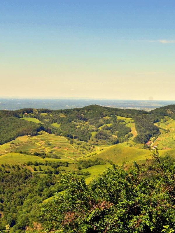 Wanderung im Kaisertuhl