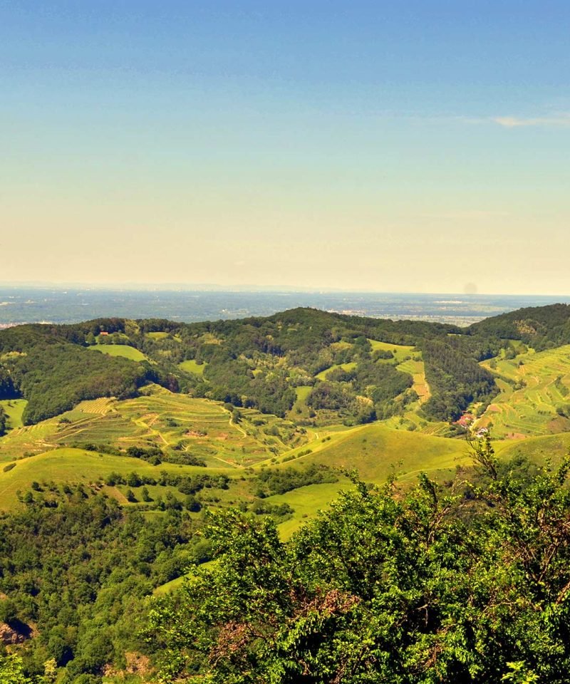 Wanderung im Kaisertuhl