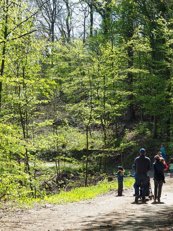 Wanderung im Kaisertuhl