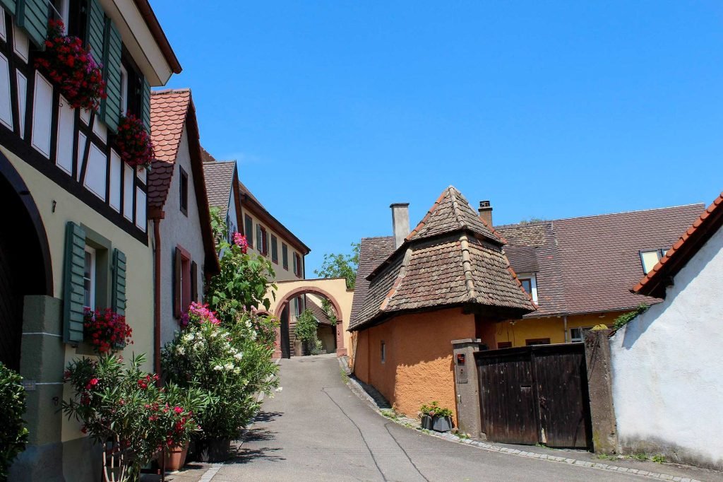 Wanderung durch die Rheinauen