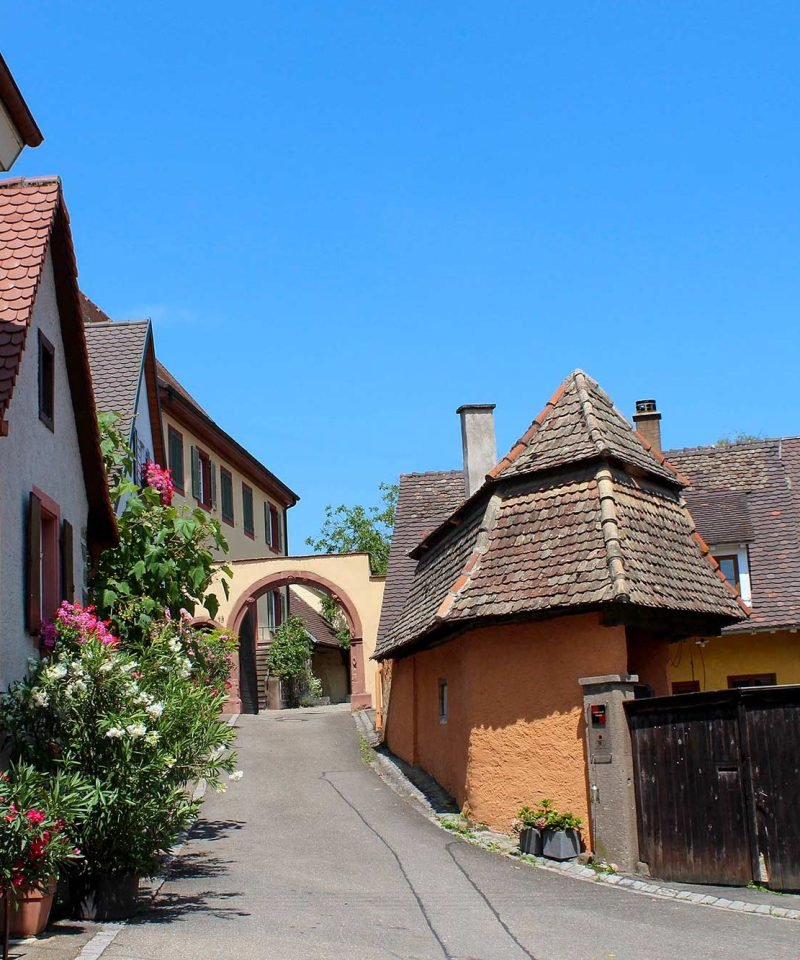 Wanderung durch die Rheinauen