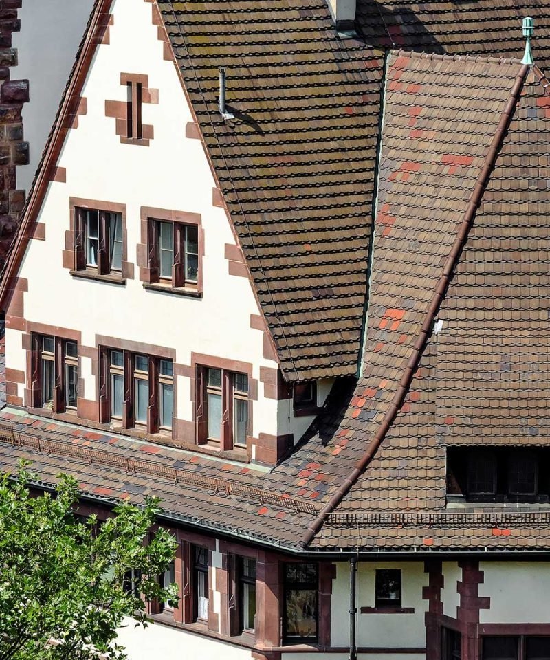 Freiburger Schlossbergführung
