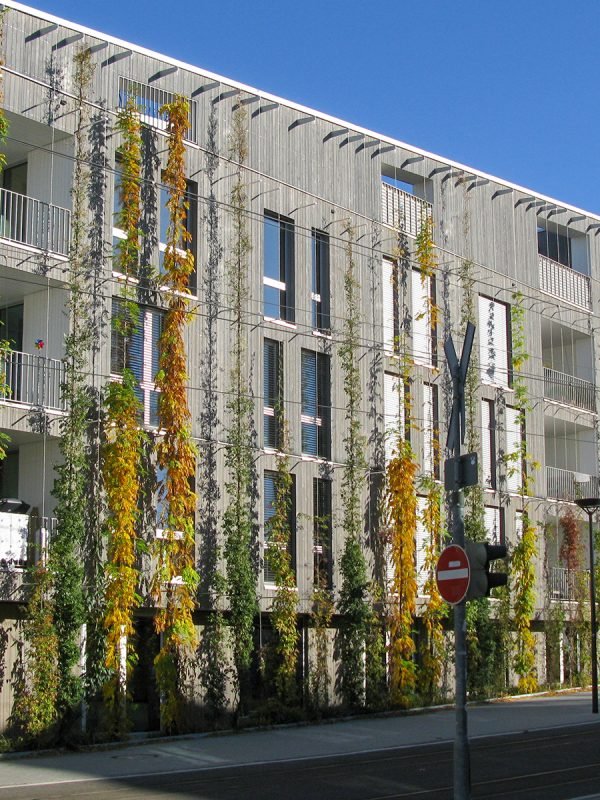 Stadtführung Vauban
