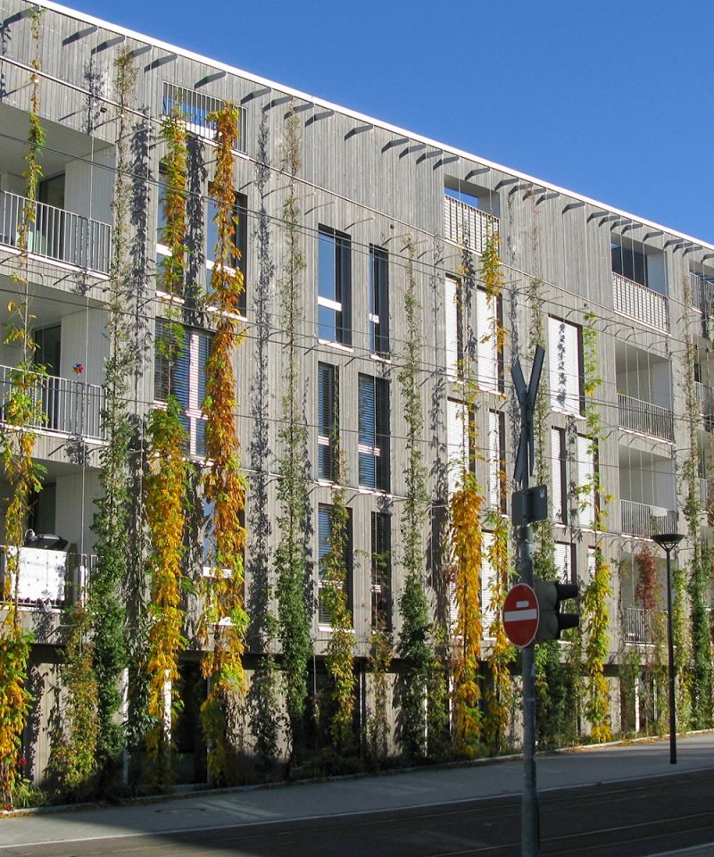 Stadtführung Vauban