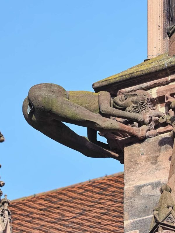 Stadtführung für Kinder Freiburg